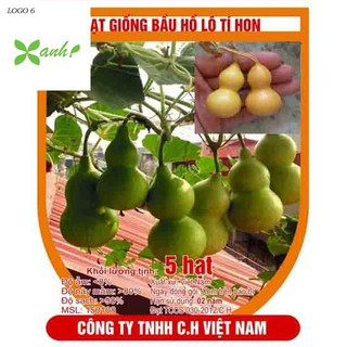 Hạt giống Bầu hồ lô (lớn, tí hon)