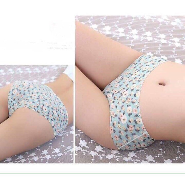 [CAO CẤP] ComBo 5 Quần Lót Nữ | BigBuy360 - bigbuy360.vn