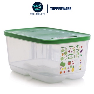 Hộp tupperware ventsmart trữ mát có nút hô hấp 4.4 lít siêu bền thiết kế nhỏ gọn tiện dụng cho mọi gia đình