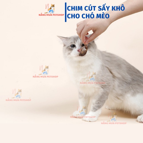 Chim cút sấy khô cho cún mèo, snack cho chó mèo túi 100gr