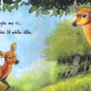 Sách - Vì sao tớ yêu ( Trọn bộ 4 quyển, NXB Kim Đồng )
