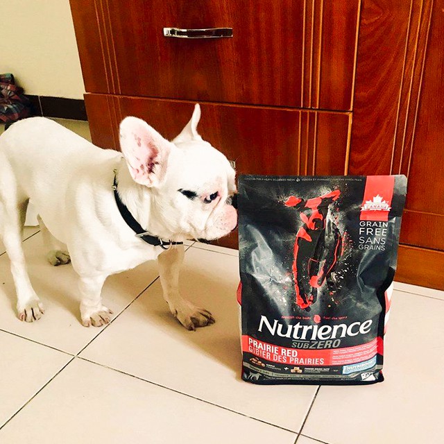 Thức Ăn Hạt Cho Chó Poodle - Nutrience Subzero Bao 500g (Da Lông Bóng Mượt) - Thịt Bò, Cá Hồi, Rau Củ Trái Cây Tự Nhiên