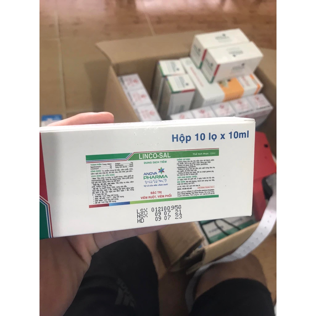 [DT] 1 HỘP LINCO-SAL (10 LỌ x 10ML) (LINCOSAL)