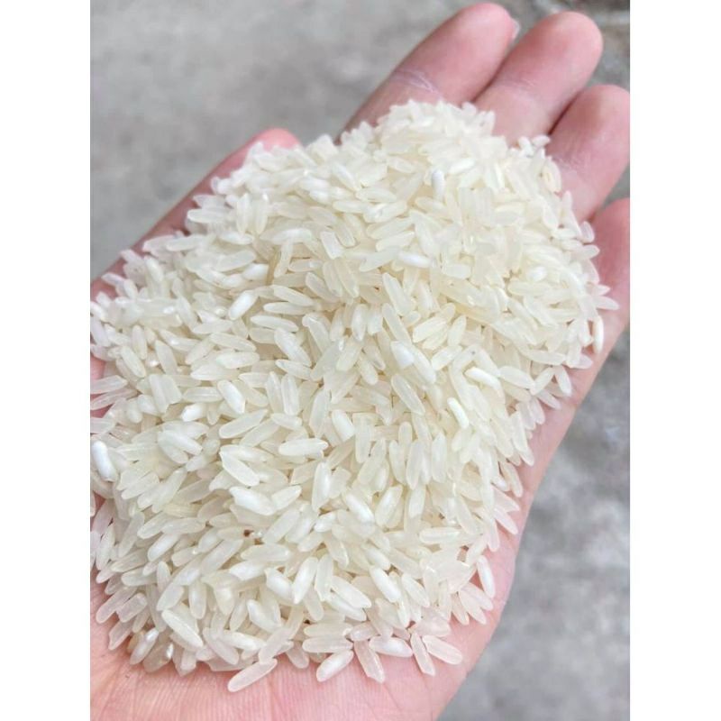 Gạo 504 Xốp Nở Mềm Cơm .