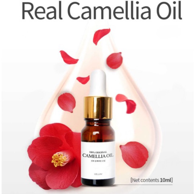 Dầu hoa trà Real Camellia Oil CELLBN