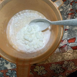 Men nấm sữa kefir 100gr