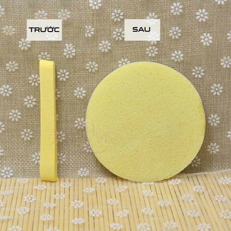 Bọt biển - Bông nở rửa mặt Chivey 12 miếng / Miếng mút rửa mặt bọt biển dạng nén | BigBuy360 - bigbuy360.vn