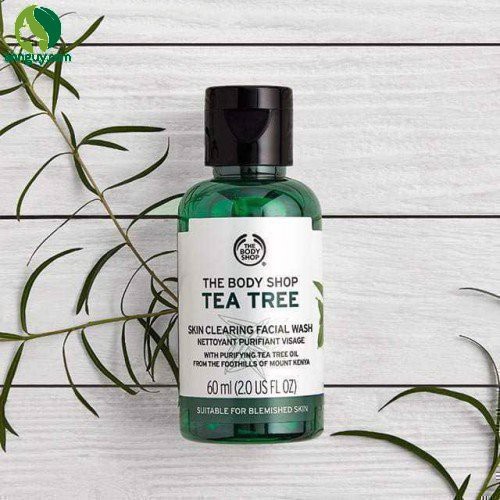 Sữa Rửa Mặt Tea Tree Skin Clearing Facial Wash 60ML