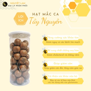 Hạt Macca sấy nứt vỏ 500g