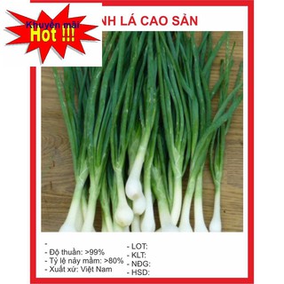 Hạt giống Hành Hoa 5Gram HOA RAU TRỒNG KỊP TẾT