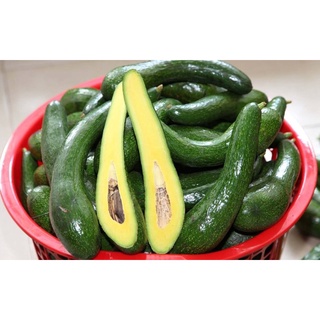 COMBO 5KG BƠ 034(BƠ NỮ HOÀNG) SIZE 3,4 QUẢ 1KG BẢO LỘC, LÂM ĐỒNG.