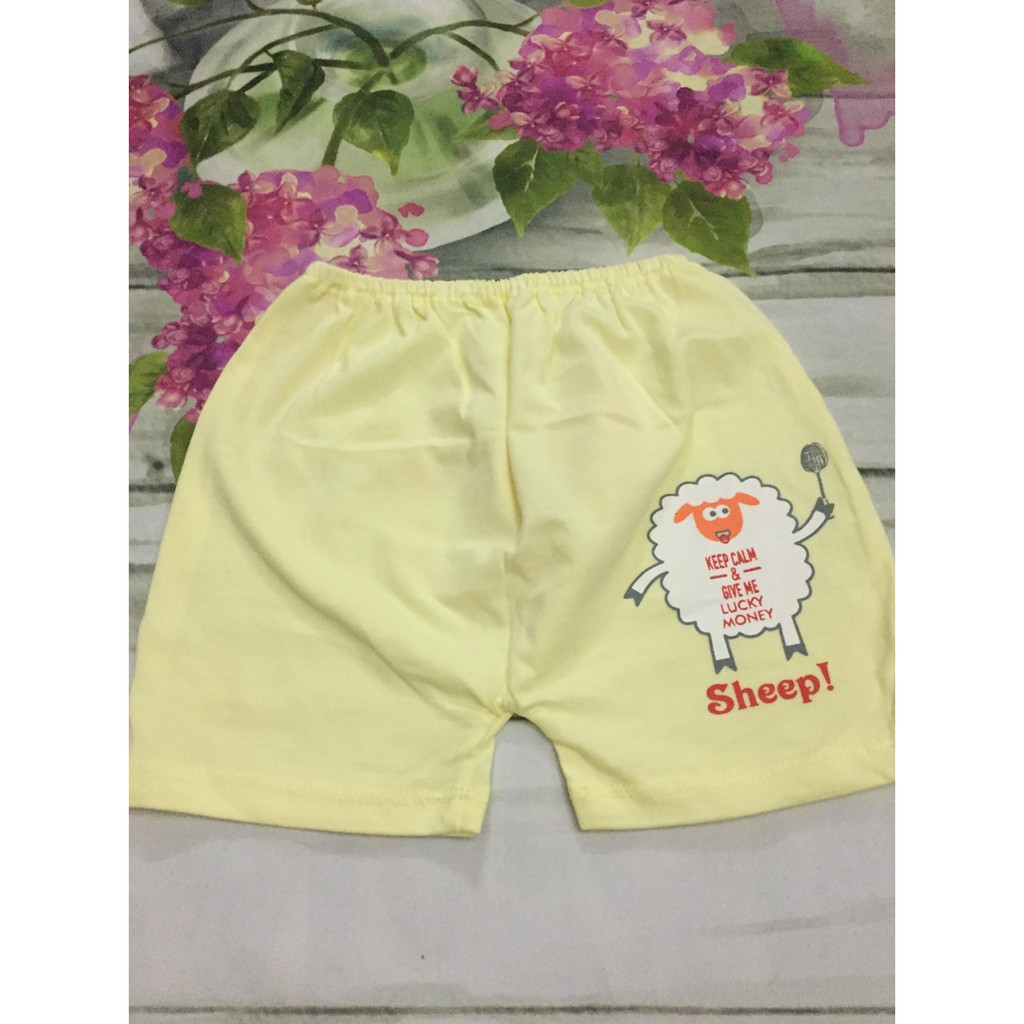 Carter - Quần đùi mông thú(3-24m)