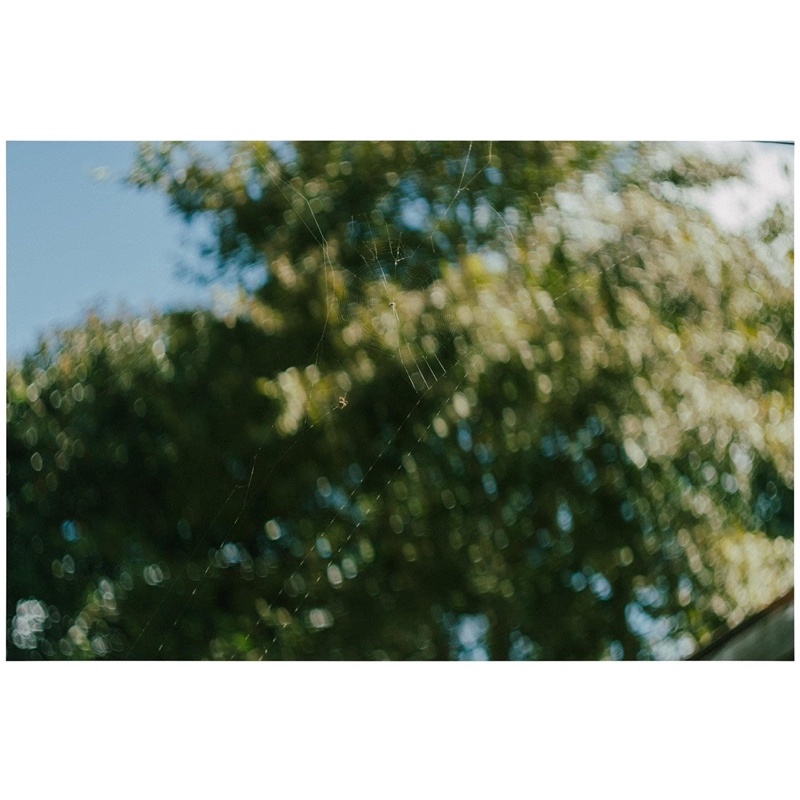 Ống kính MF helios 58/2 mod anamorphic quay phim siêu điện ảnh