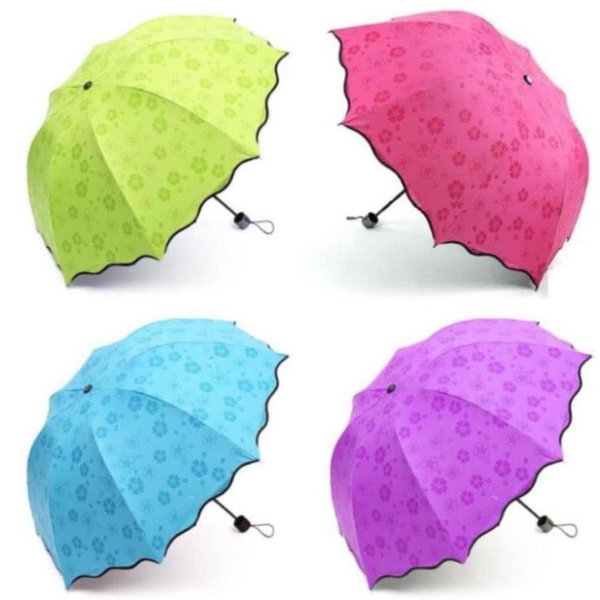 Ô ma thuật gặp nước nở hoa chống tia UV P001