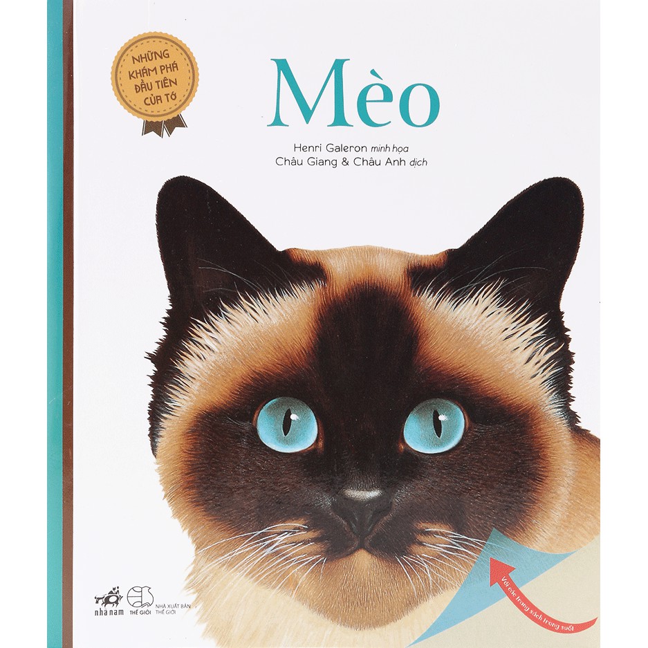 Những Khám Phá Đầu Tiên Của Tớ - Mèo