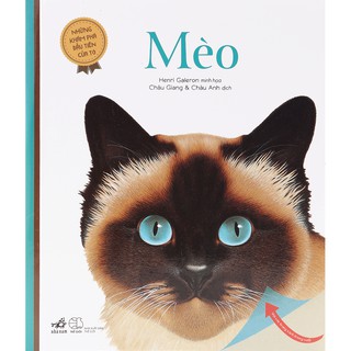 Những Khám Phá Đầu Tiên Của Tớ - Mèo