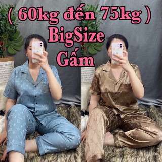 Đồ bộ pijama gấm bigsize - tay ngắn quần dài.