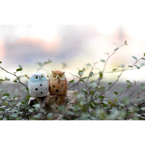 Mô hình chim cú mèo thân tròn đẹp trang trí tiểu cảnh, bonsai, DIY (bán lẻ từng mẫu, mua full chọn theo bội số 4)