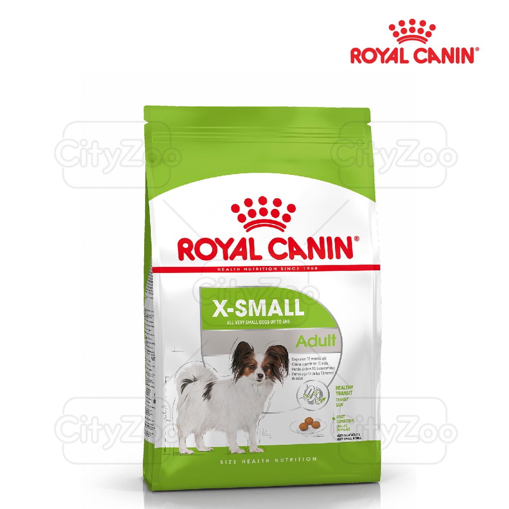 Royal Canin X-small Adult 500g - dành cho chó siêu nhỏ dưới 4kg trên 10 tháng tuổi