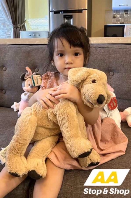 COMBO 2 CHÓ GOLD VÀ HOPPIG IKEA INDONESIA