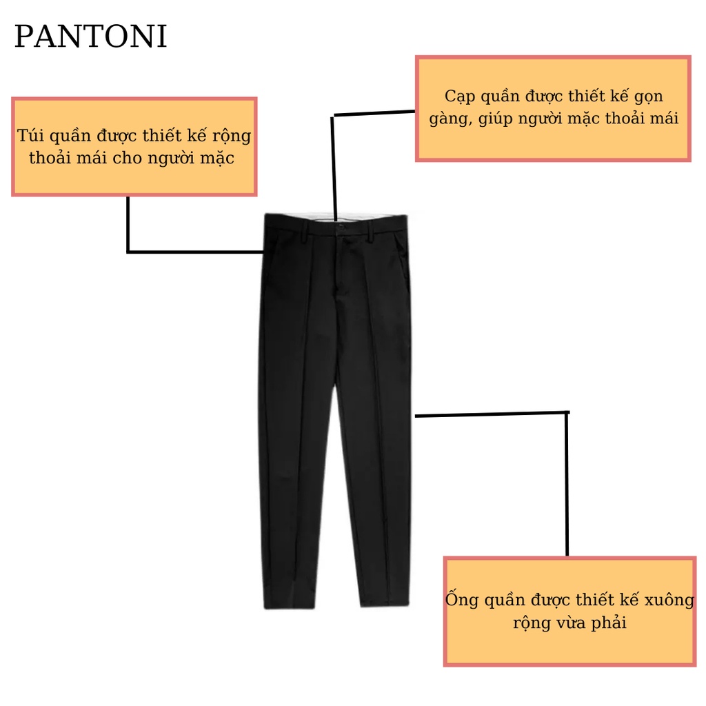 Quần baggy nam Pantoni thêu họa tiết con ong, Quần âu nam chất vải tuyết Hàn co giãn phân loại tây âu Premium thời trang