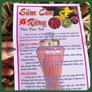 1Kg Sâm cau rừng loại 1