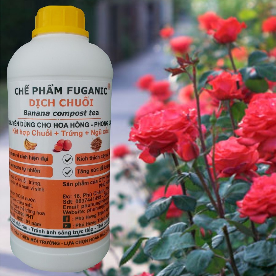Dịch chuối trứng gà ngũ cốc Fuganic chuyên dưỡng cây, kích hoa, xanh dày lá