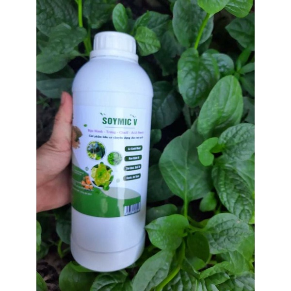 Phân bón dinh dưỡng Soymic V (1000ml)