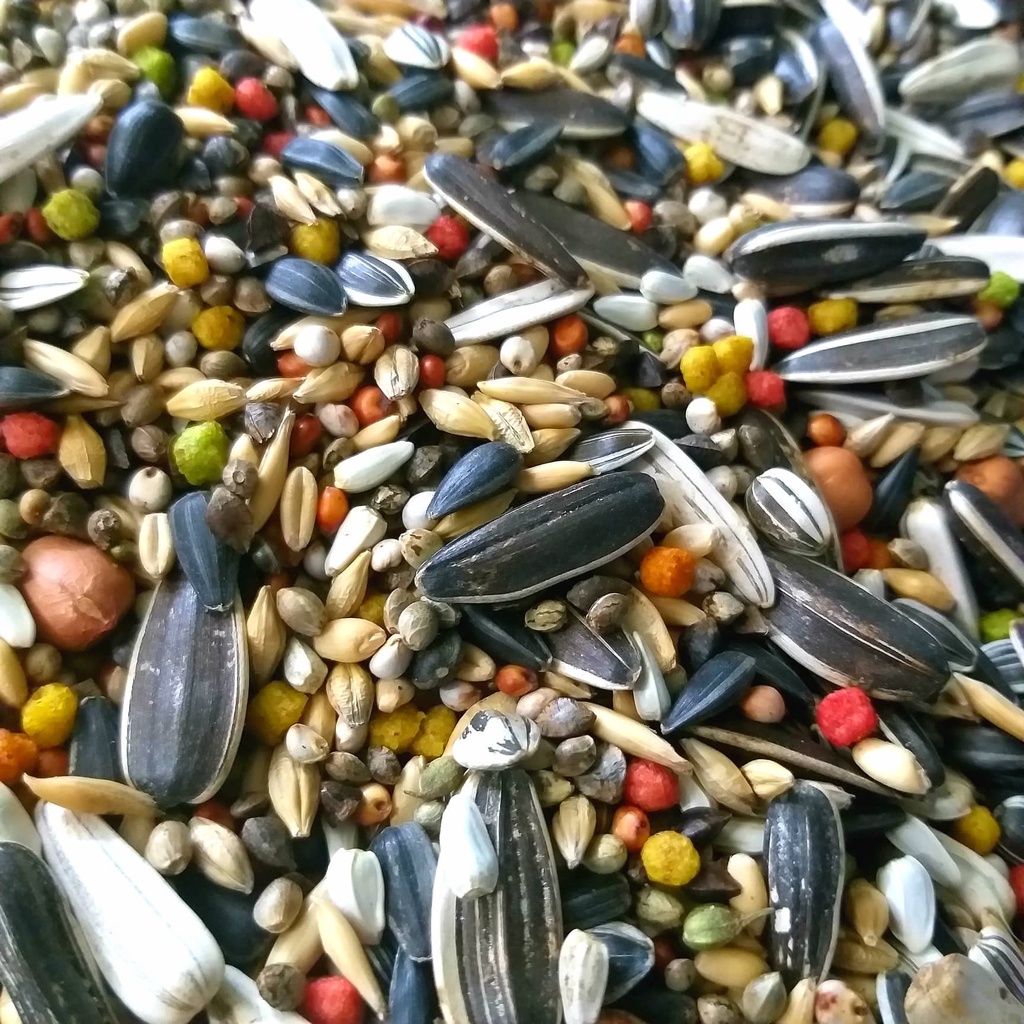 HẠT TRỘN CHO VẸT SUN, XÍCH, XÁM CHÂU PHI...gói 1kg