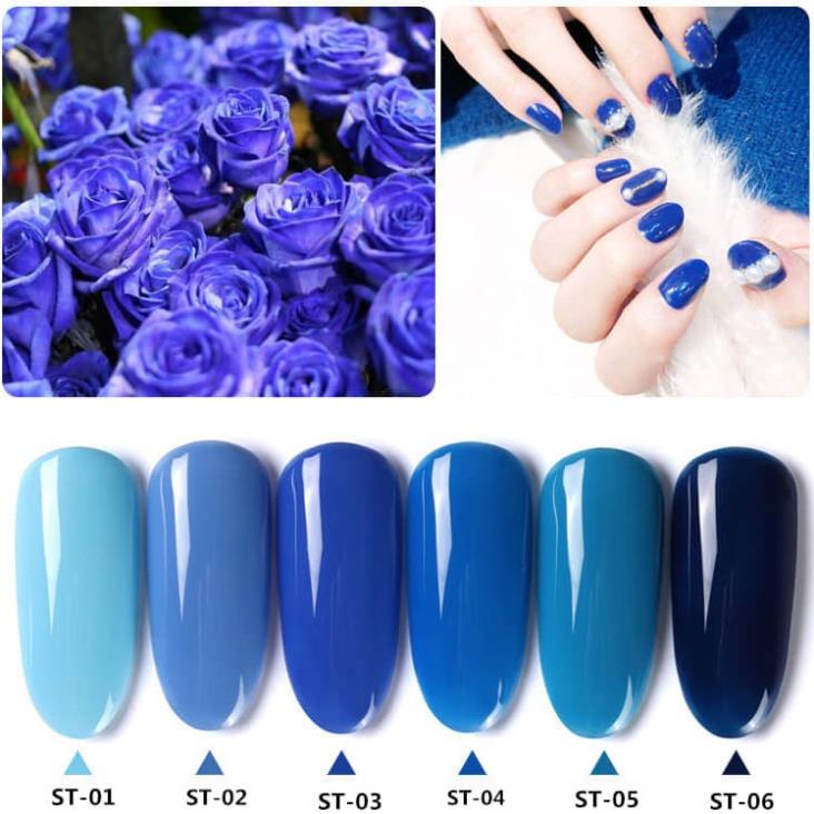 Sơn Gel AS vỏ đen Mã ST ( Cam Kết Chính Hãng - làm khô sơn gel bằng máy hơ uvled )