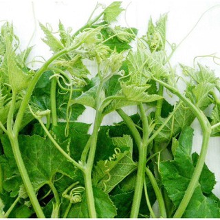 Hạt Giống Bí Siêu Ngọn Cao Sản (10gr)