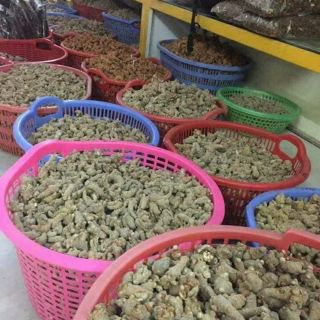 Củ Tam thất bắc khô 100g (loại 8 củ )