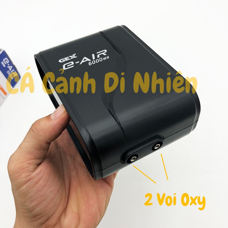 Máy sủi khí Oxy Siêu Êm 2 vòi Gex E-AIR 6000WB cho hồ cá