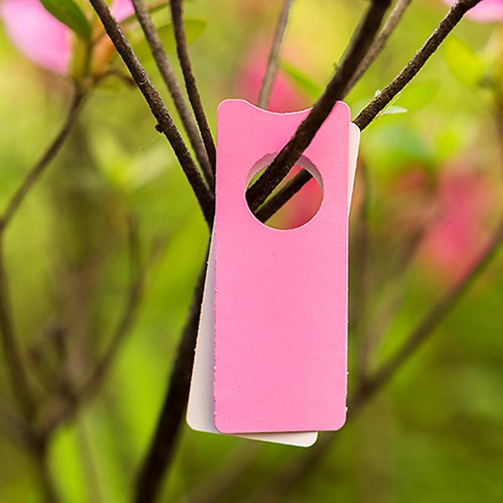 Set 100 Thẻ Đánh Dấu Cây Nho Tiện Dụng