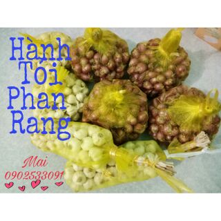 Combo Hành và Tỏi Phan Rang