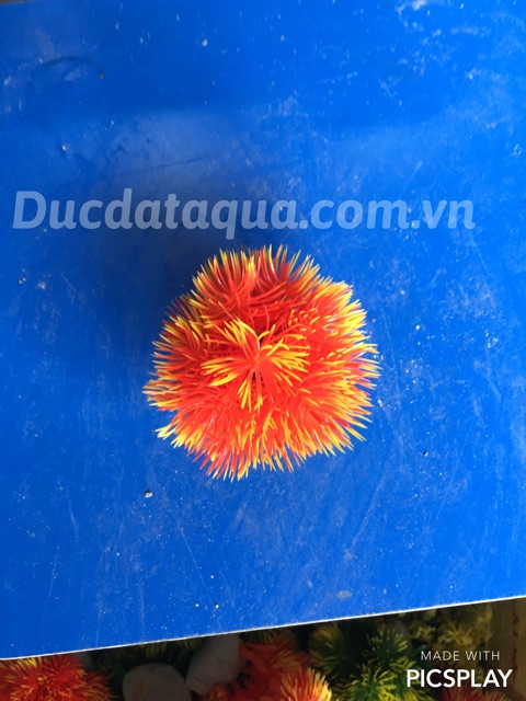 Cây hoa cỏ nhựa cao cấp