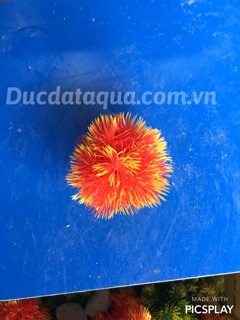 Cây hoa cỏ nhựa cao cấp