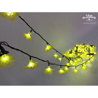 Dây đèn led Hoa mai vàng Số 14 DLTT