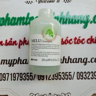 DẦU GỘI DAVINES MELU CHĂM SÓC TÓC GÃY VÀ CHẺ NGỌN 250ML