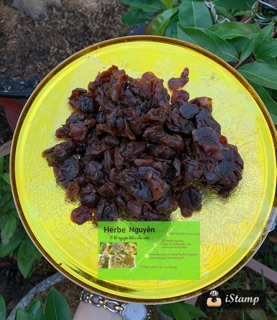 Nhãn nhục vàng loại 1🍒200g