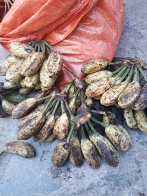 Chuối hột rừng tươi tây bắc