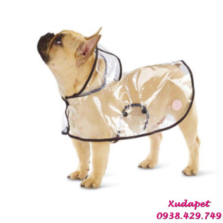 Áo Mưa Trong Suốt Cho Chó Mèo Dưới 12kg (Viền Màu Ngẫu Nhiên) chất liệu nhựa eva - Xudapet - SP005245