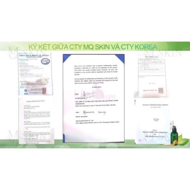 Serum Thay Da Nhân Sâm Số 1 MQSKIN
