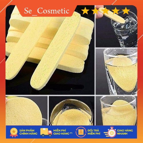 Bông bọt biển Chivey gói 12 miếng- bong bot bien secosmetic