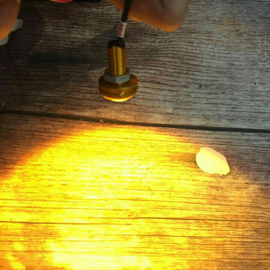 ĐÈN Xi Nhan Mẫu Cúc Áo- DXNCA