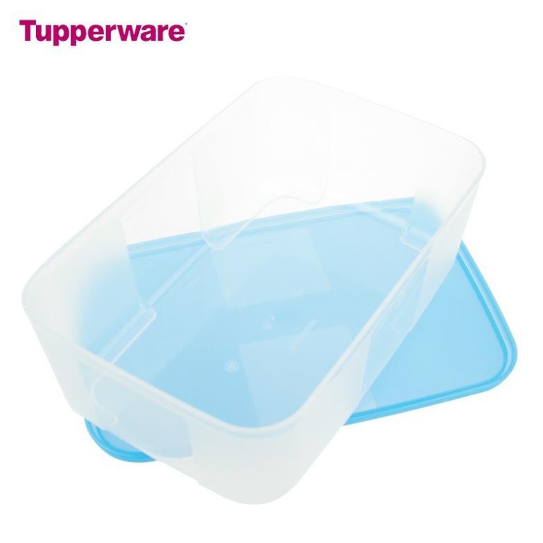 Tupperware Trữ Đông Hộp 1.7L Đựng Thực Phẩm Nhựa Nguyên Sinh An Toàn Thực Phẩm  TU23