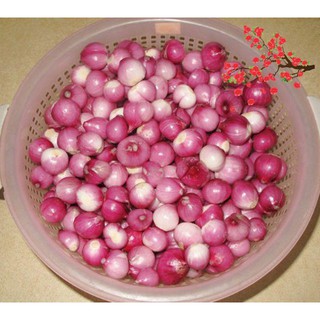 [200G]- Hành Phi Ngon Trọng Nghĩa