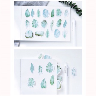 Hộp sticker hình lá cây