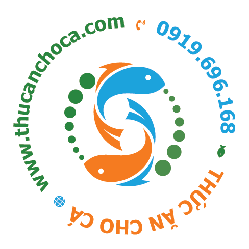 Shop Avatar