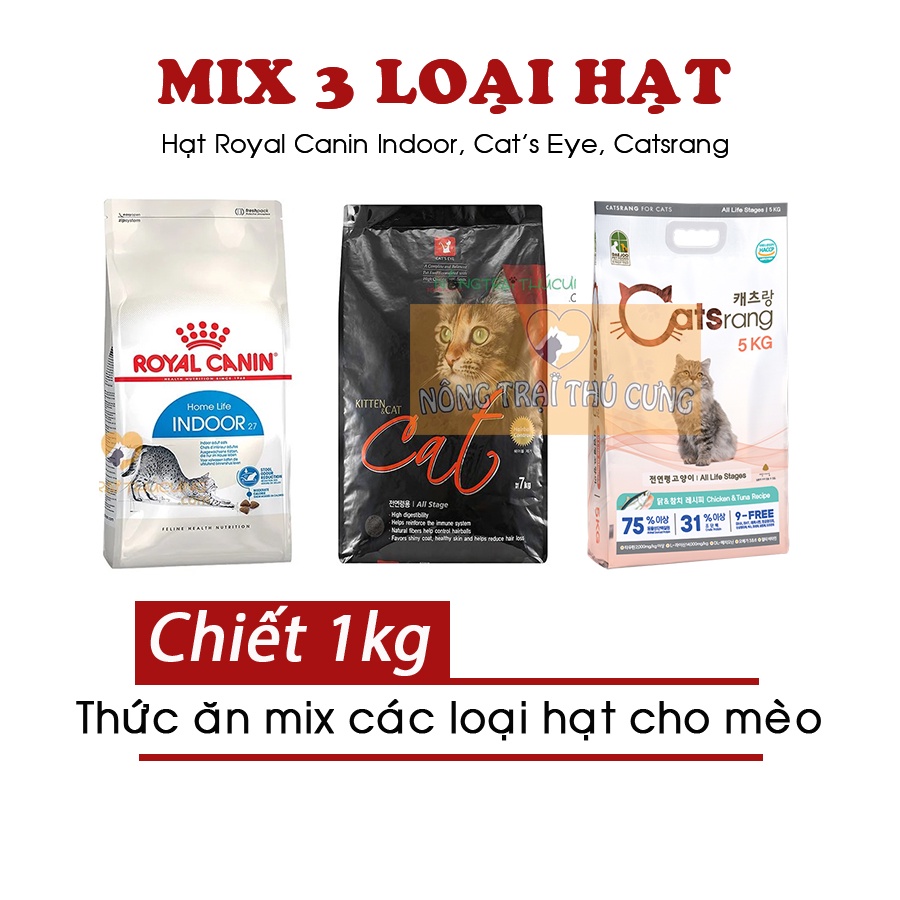 Thức Ăn Hạt Mix Cho Mèo Royal Canin Indoor - Cat's Eye - Catsrang Ăn Không Ngán (Mèo Trưởng Thành)